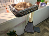 Cat sleeping on a elevated cat bed with a scratching post in a home setting.