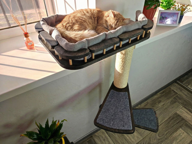 Cat sleeping on a elevated cat bed with a scratching post in a home setting.
