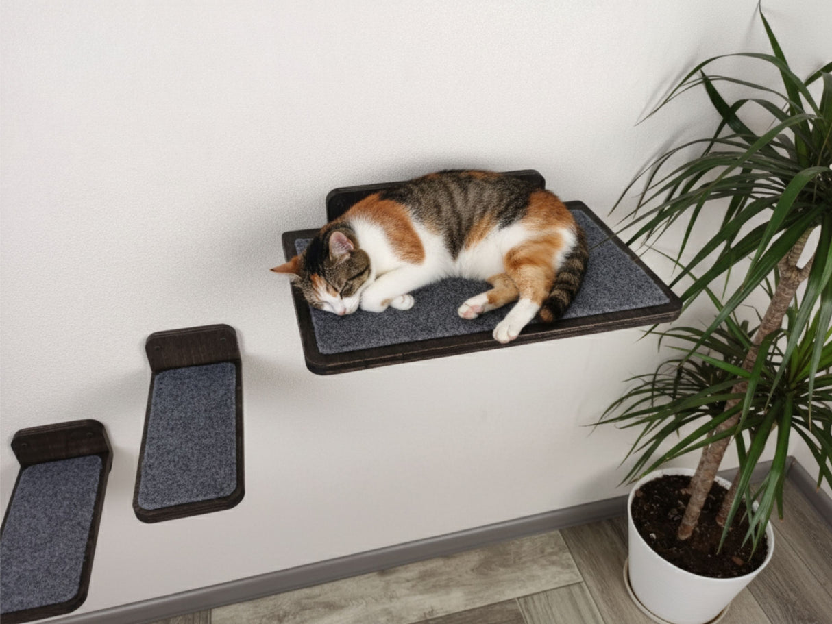 Cat lounging on a elevated cat bed with a plant in the background