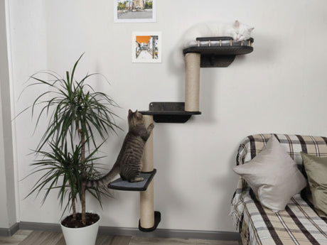 Cat climbing a cat tree in a living room with a plant and sofa.