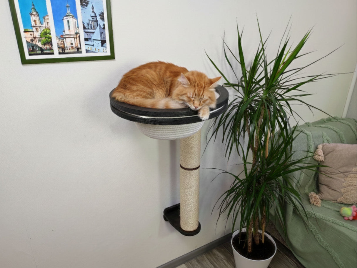 Orange cat sleeping on a cat tree next to a potted plant and a framed picture on the wall.