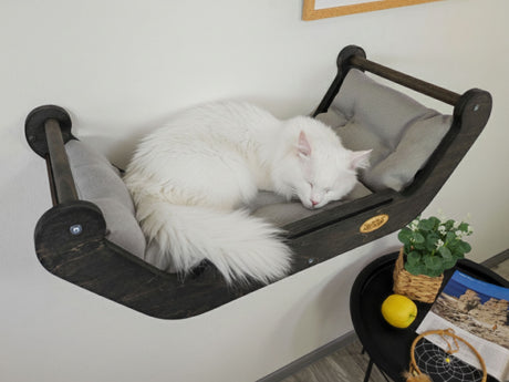 White cat sleeping on a black and gray pet hammock against a white wall.