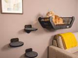 Cat sitting on a wall-mounted cat shelf with additional shelves below in a living room setting.