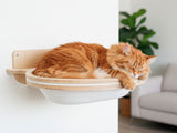 Cat sleeping on a wooden wall-mounted cat shelf in a home setting.