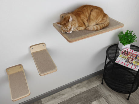 Cat resting on a wooden shelf with three additional shelves below, in a room setting.