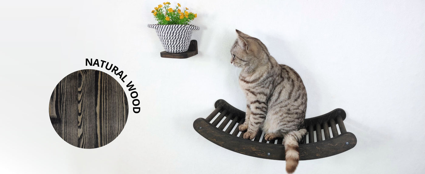 cat wall shelves
