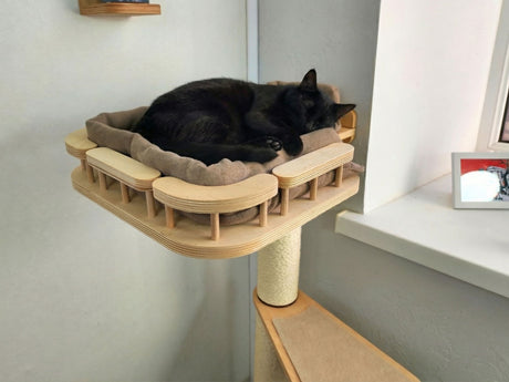 Cat lounging on a wooden cat tree with a soft cushion against a neutral wall.