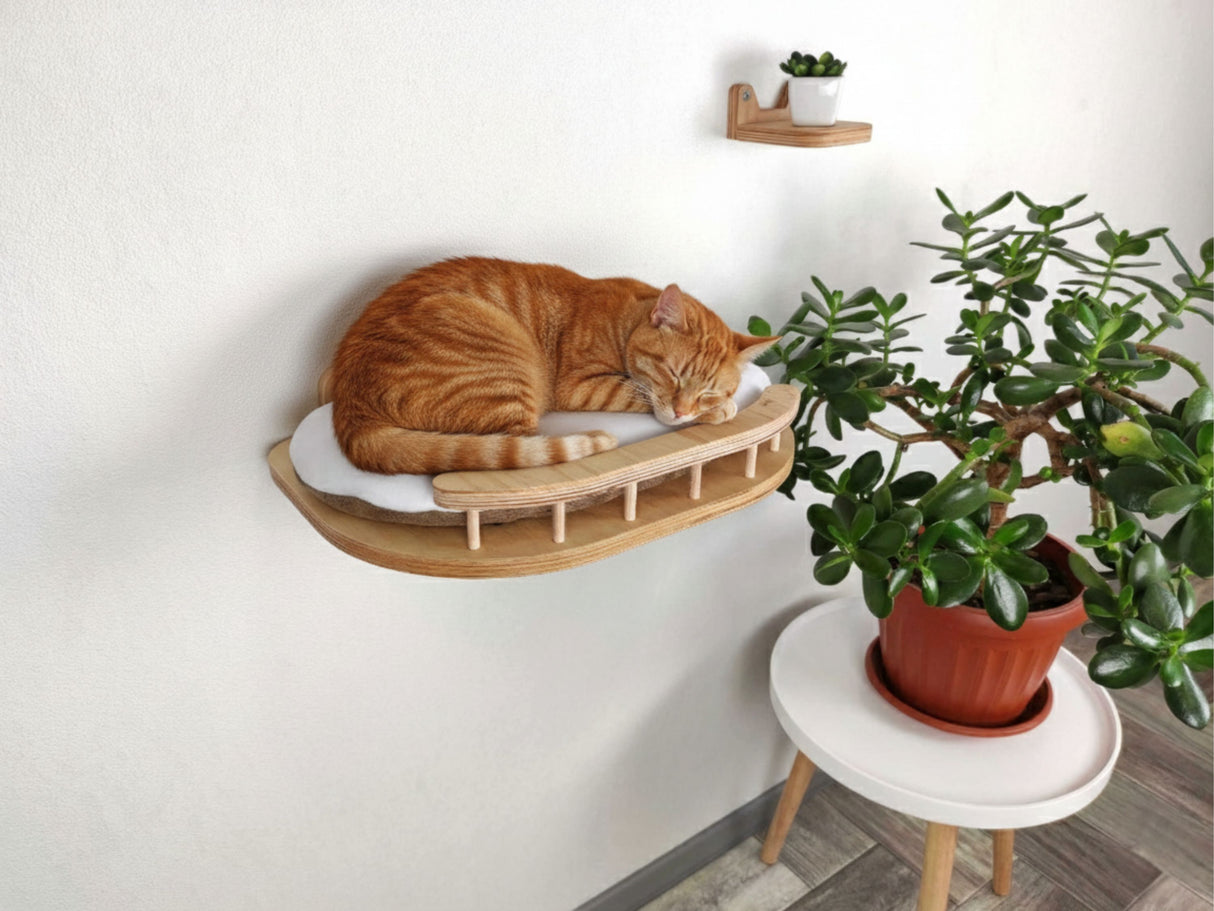Cat sleeping on a wooden shelf with a plant nearby