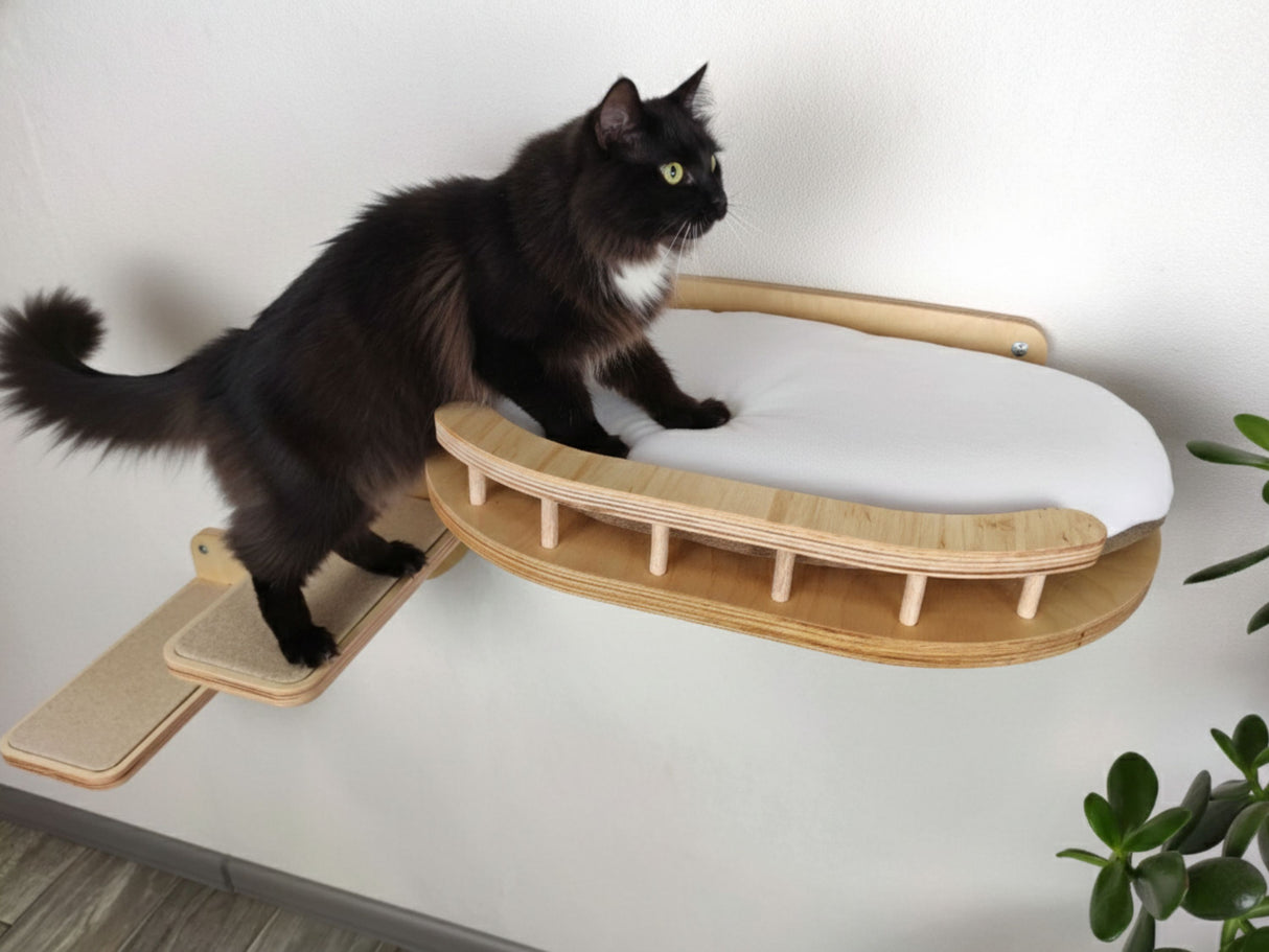 Cat on a wooden cat shelf with a white cushion against a neutral background