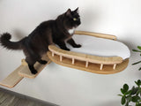 Cat on a wooden cat shelf with a white cushion against a neutral background