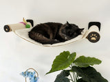 Cat resting on a cat wall hammock with a white background and plant in the corner