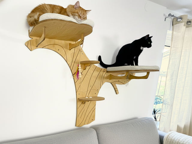 Two cats on a wooden cat tree in a living room setting.