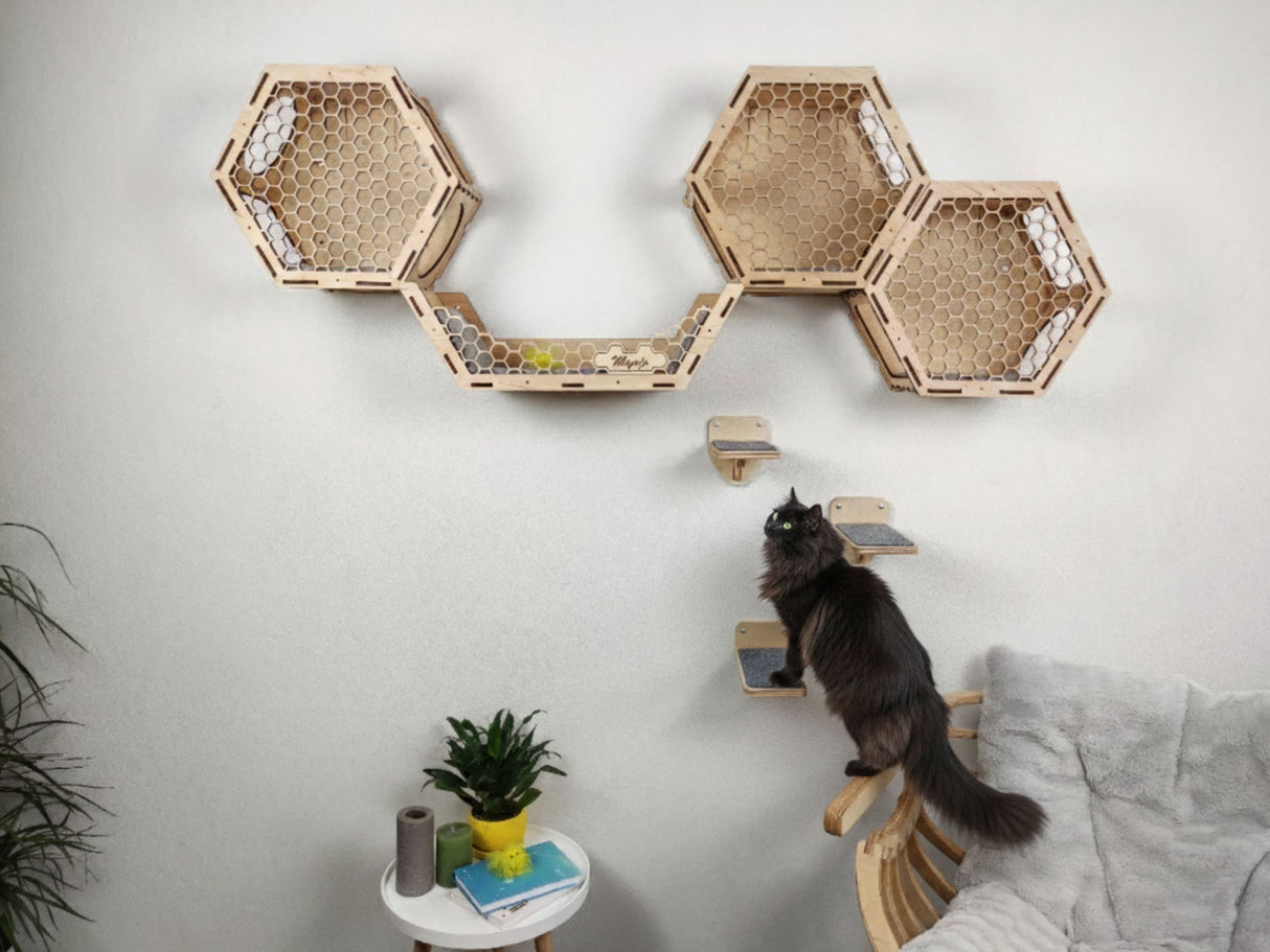 Hexagonal wall-mounted cat shelves with a cat climbing on one of them against a white wall.
