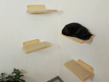 Wooden cat shelves on a white wall with a black cat resting on one of them.