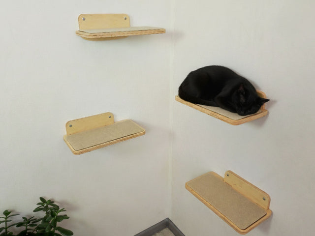 Wooden cat shelves on a white wall with a black cat resting on one of them.