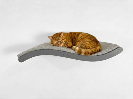 Cat sleeping on a gray cat shelf against a white background