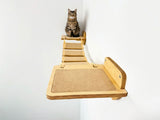 Cat sitting on a wooden cat shelf with a white background