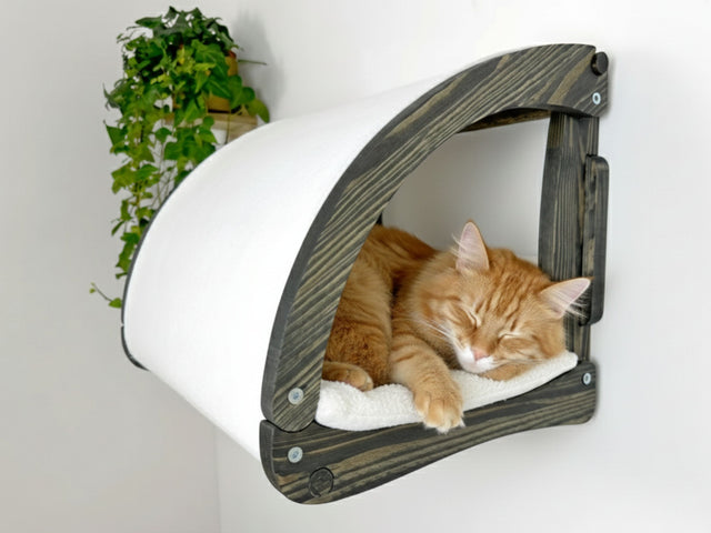 Cat lying on a wall-mounted pet bed with a plant in the background