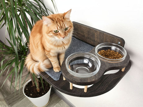 Cat sitting on a elevated pet feeding station with food and water bowls.