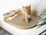 Cat sitting on a wooden cat shelf with a plant in the background