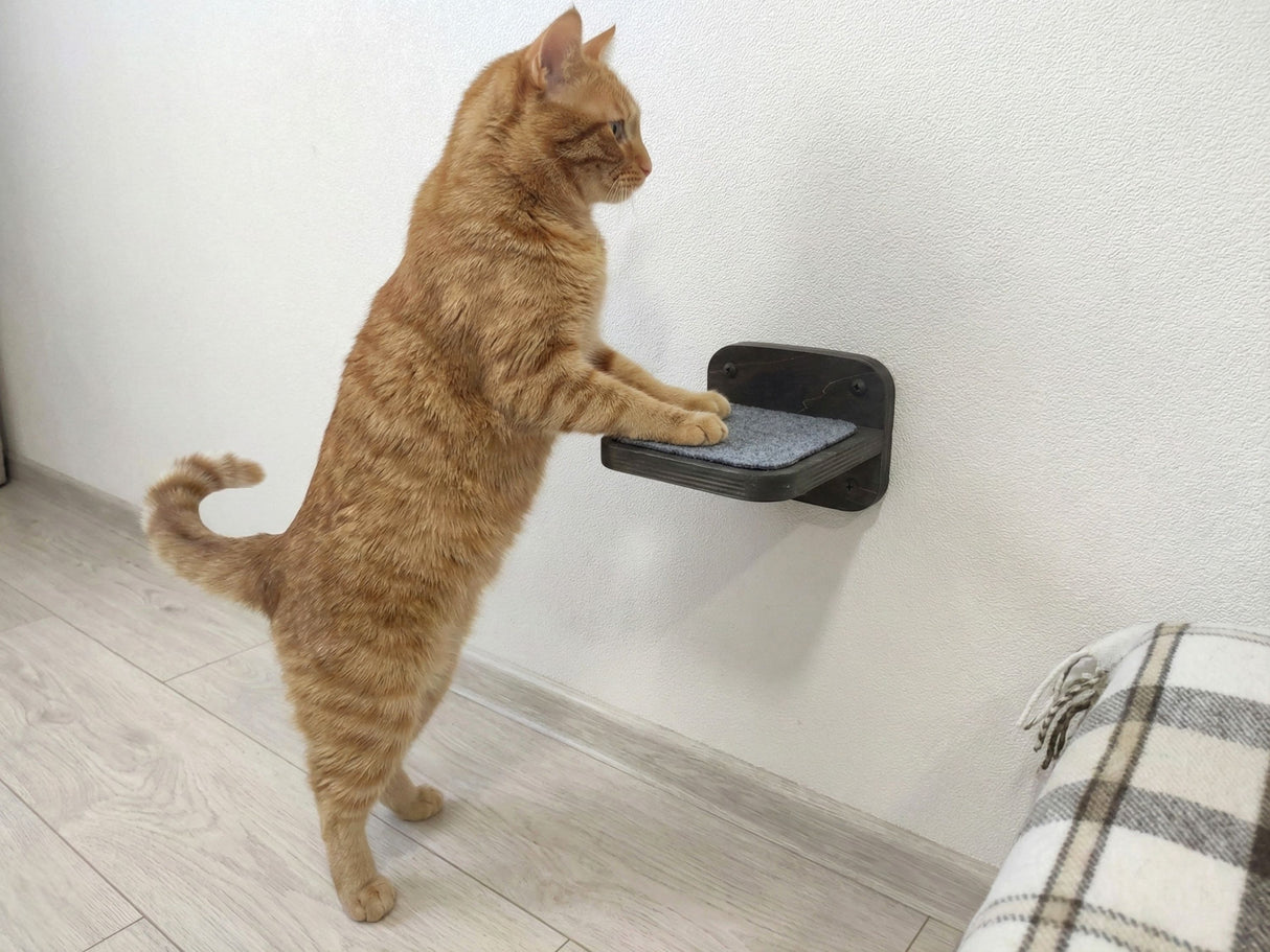 wall mounted cat wall steps