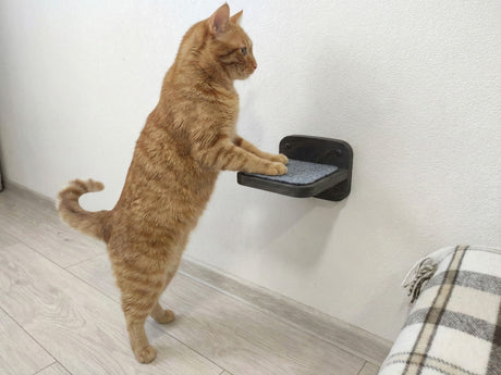 wall mounted cat wall steps