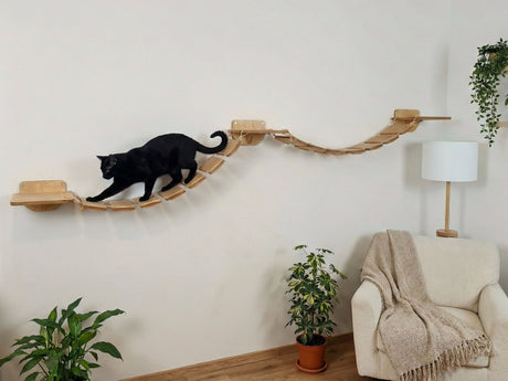 Black cat on a wooden cat shelf in a living room with a beige armchair and plants.