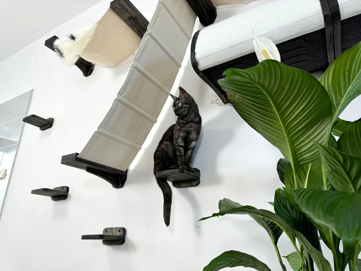 Modern Cat Climbing Wall Set, Cat Wall Furniture – Wooden Shelves, Cozy Hammocks, Tunnels, and Scratching Post for Cat