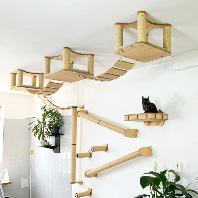 Ultimate Cat Climbing System 