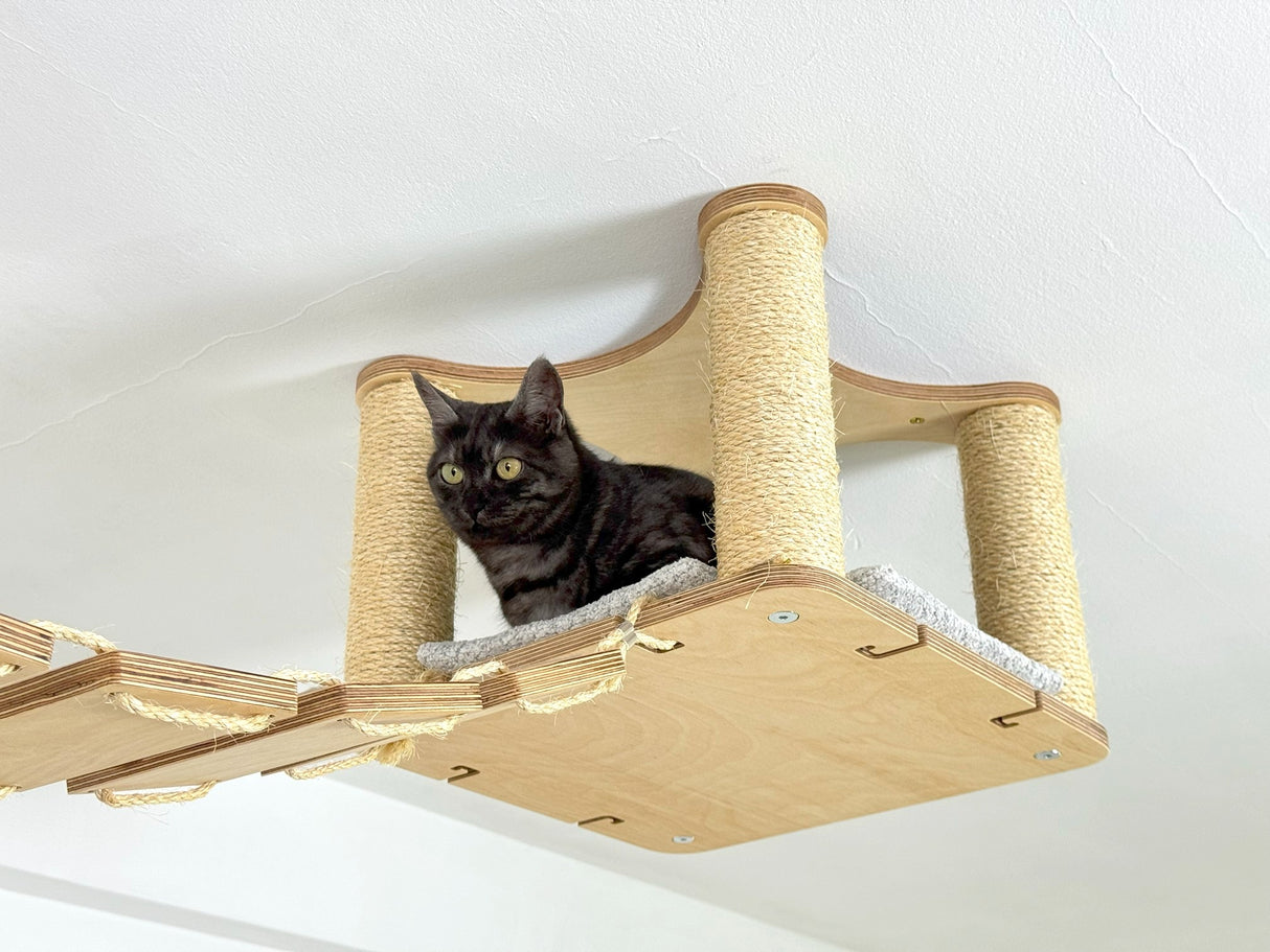cat playground