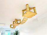 cat bridge