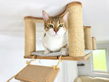 cat wall climbing systems