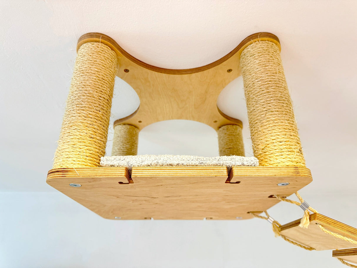 cat wall climbing shelves