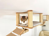 cat climbing wall shelves