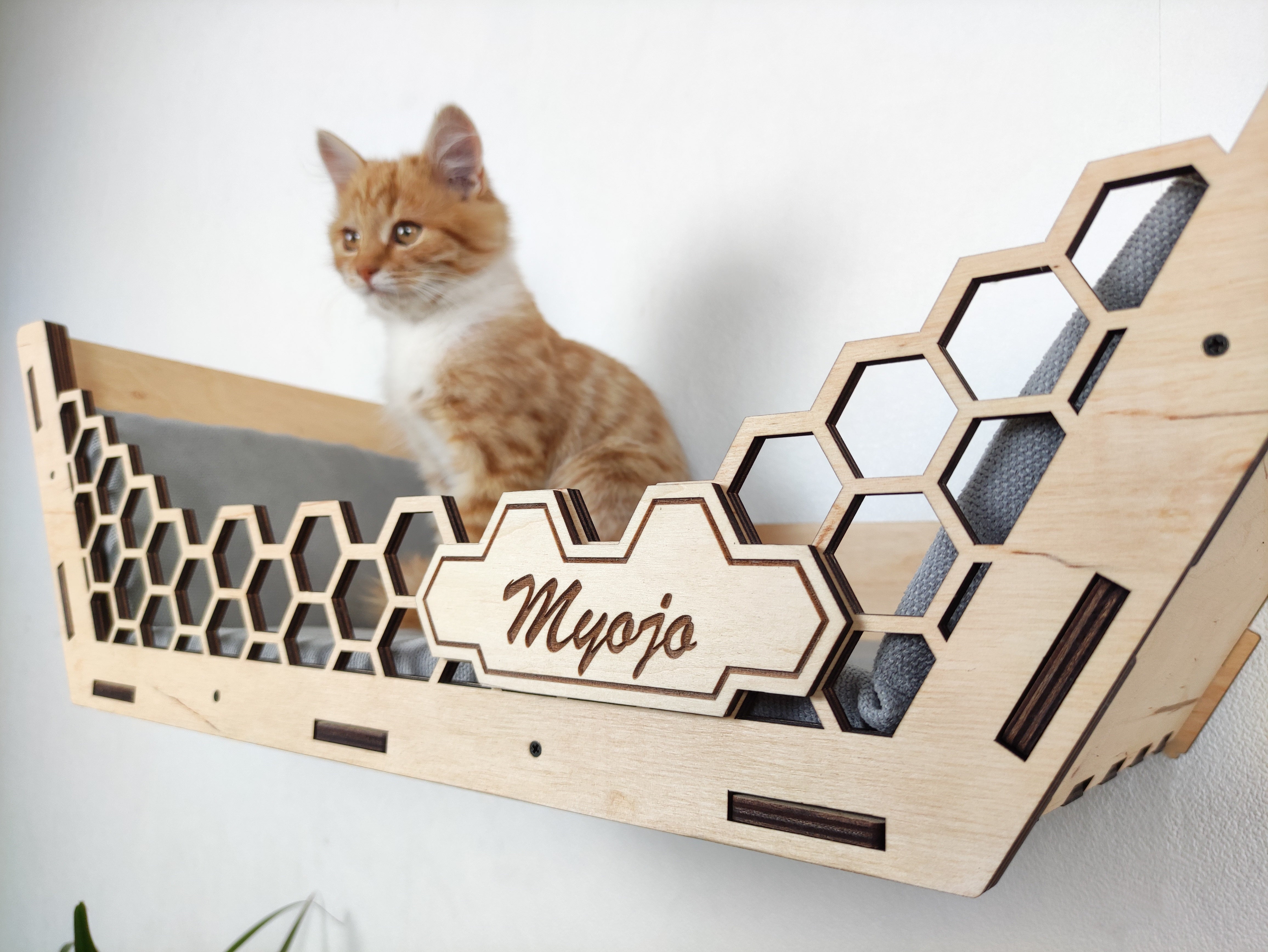 Hexagon Cat Shelf - Modern Cat Shelves for Walls - Cat on a Climbing Wall - Wall Mounted Cat Bed - Cat Wall Furniture - Cat Wall Shelves