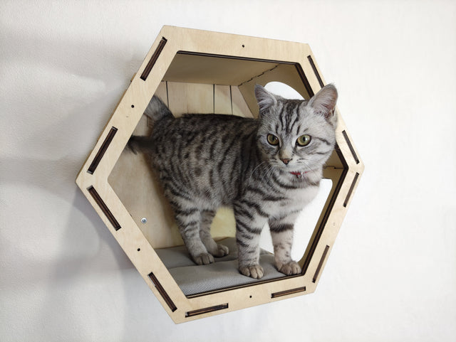 Cat Hexagon Shelf with Cushion - natural color