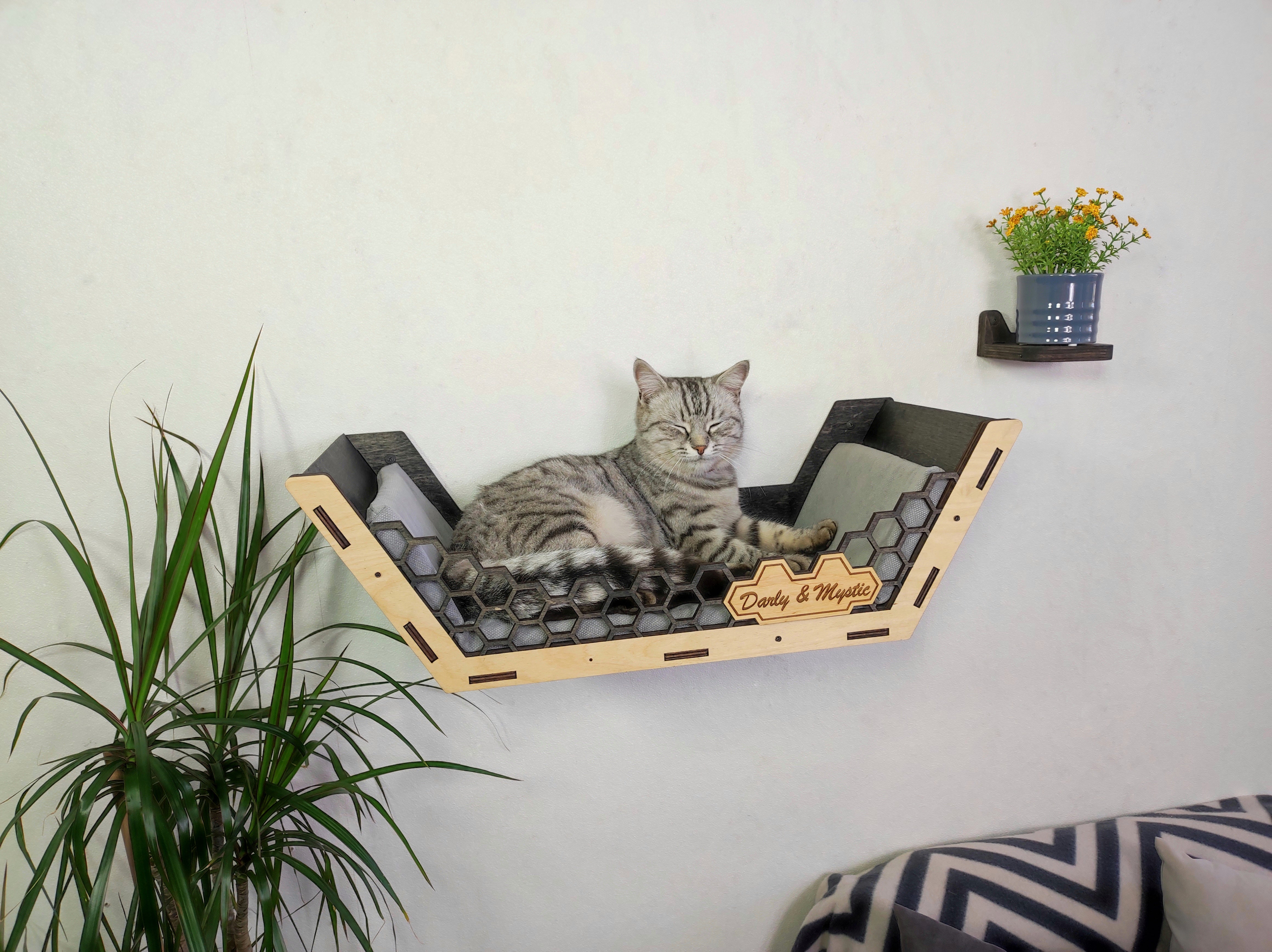 Сat wall furniture Сat shelves Wall cat bed two-tone /New for 2023 from RshPets - Dark