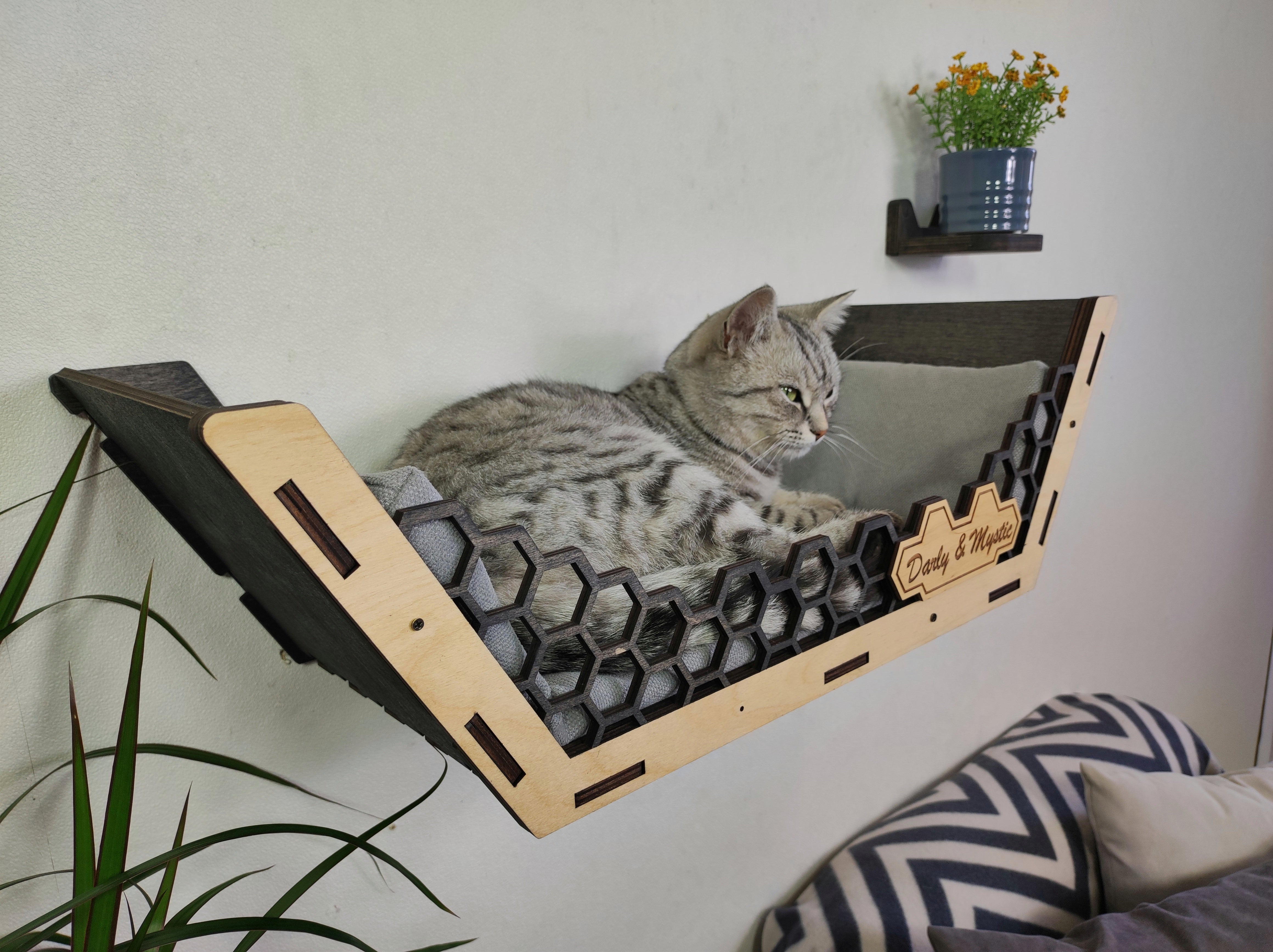 Сat wall furniture Сat shelves Wall cat bed two-tone /New for 2023 from RshPets - Dark