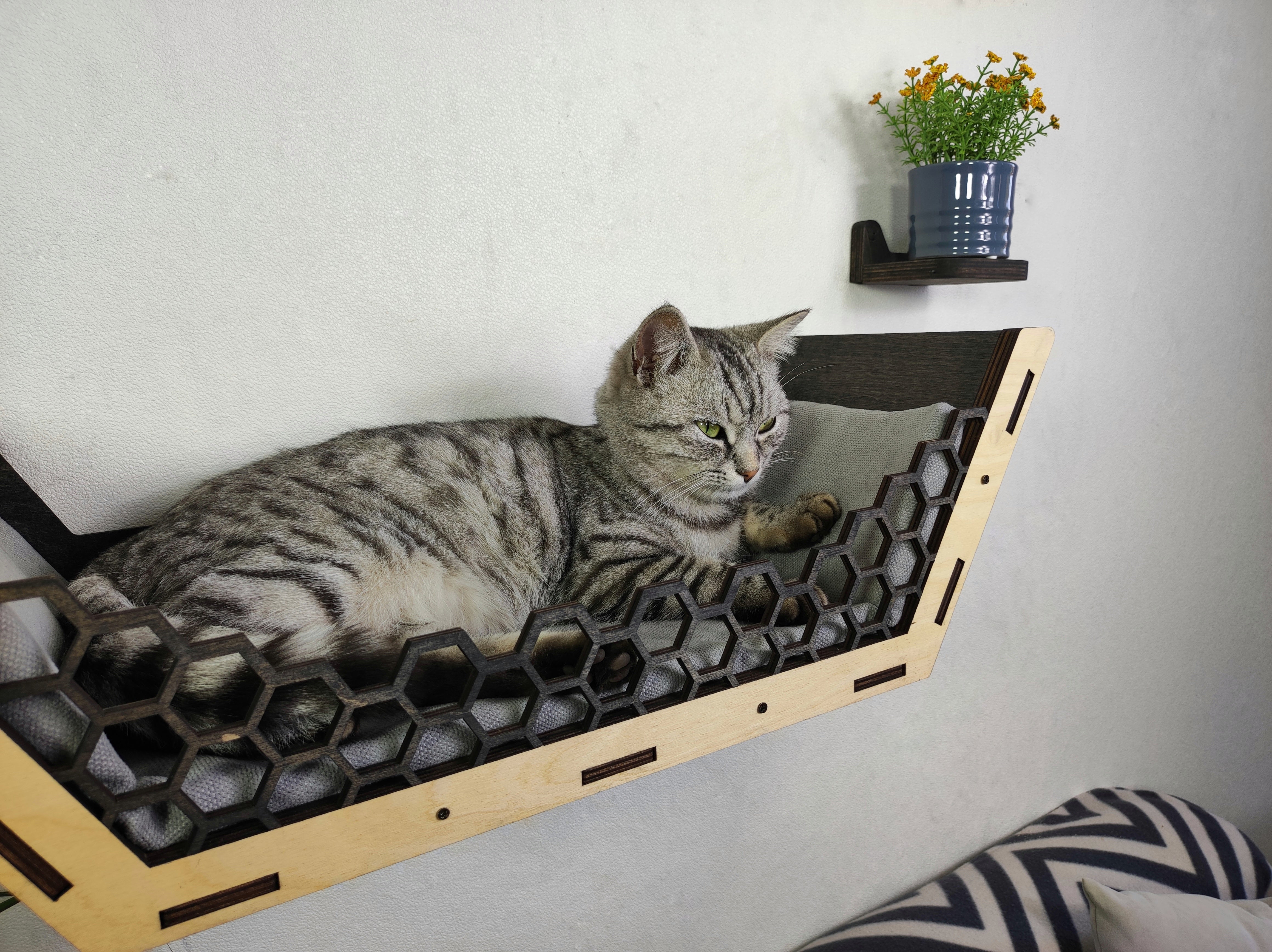 Сat wall furniture Сat shelves Wall cat bed two-tone /New for 2023 from RshPets - Dark