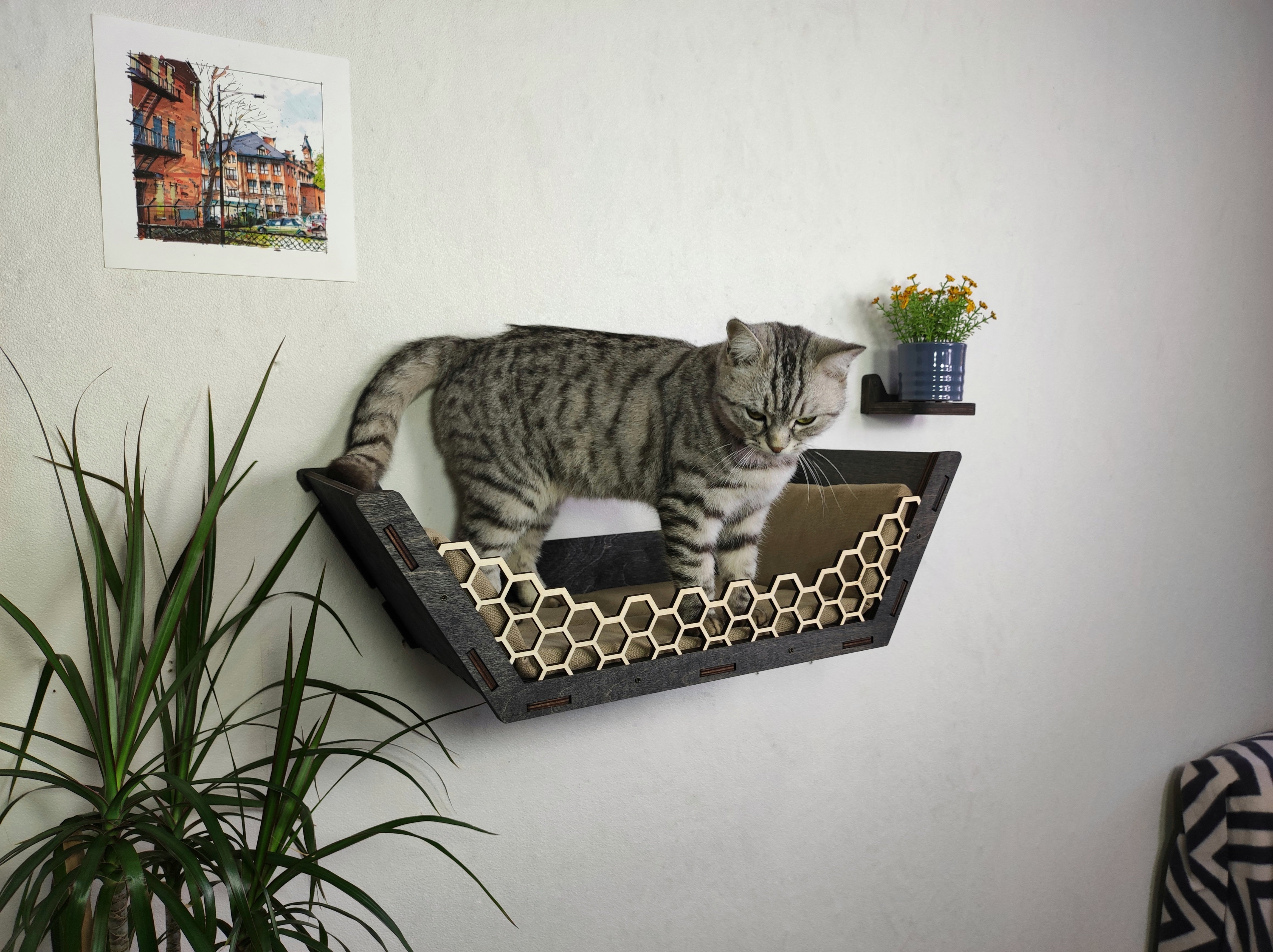 Cat wall furniture, Cat wall shelves