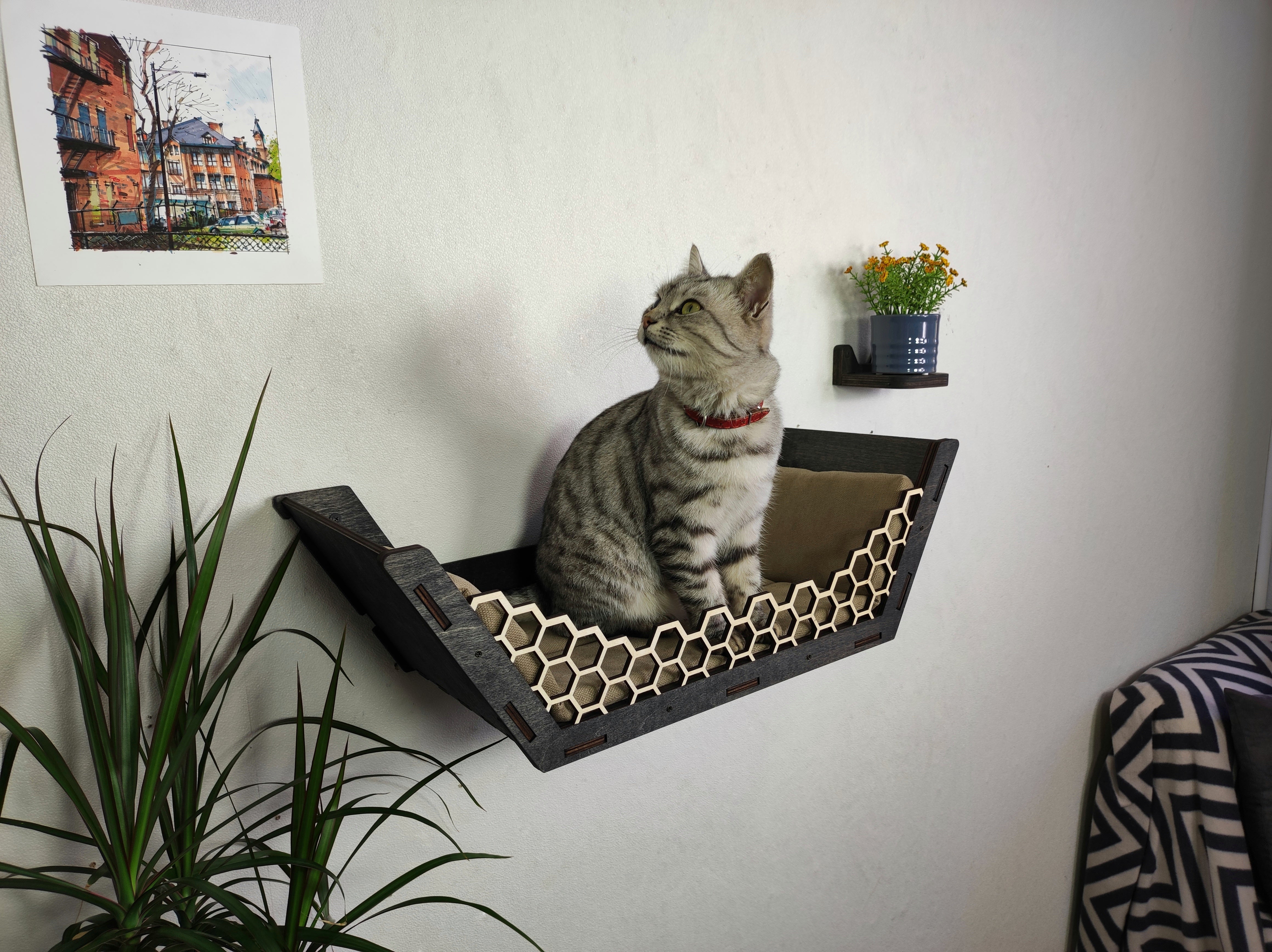 Cat wall bed for bag cats in form hexagon