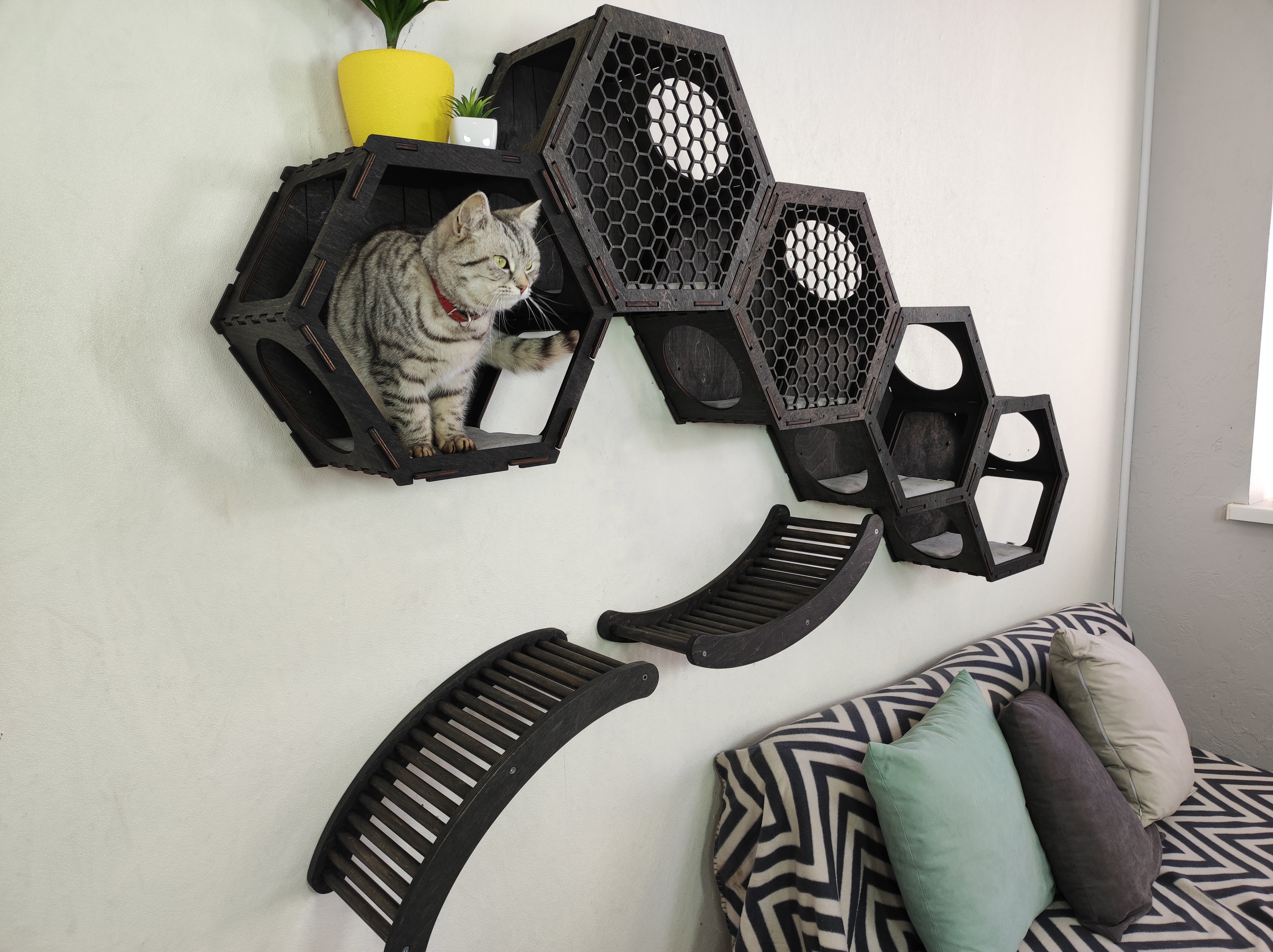 Large set of hexagonal cat shelves and a ladder