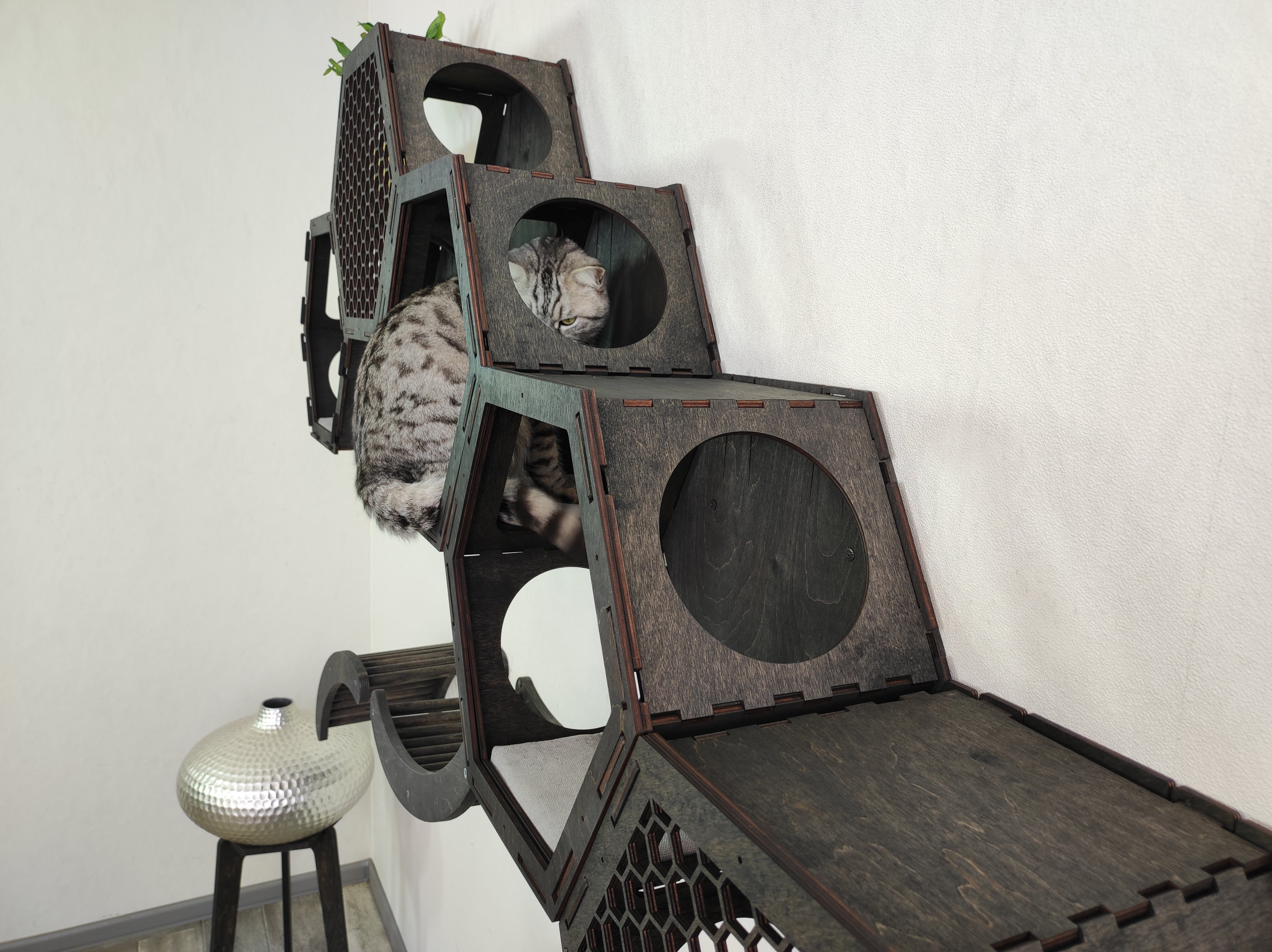 5 Hexagonal Cat Shelves & 2 Cat Ladder