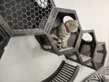 Cat Wall Furniture Cat Trees, 5 Hexagonal Shelves & 2 Cat Ladder