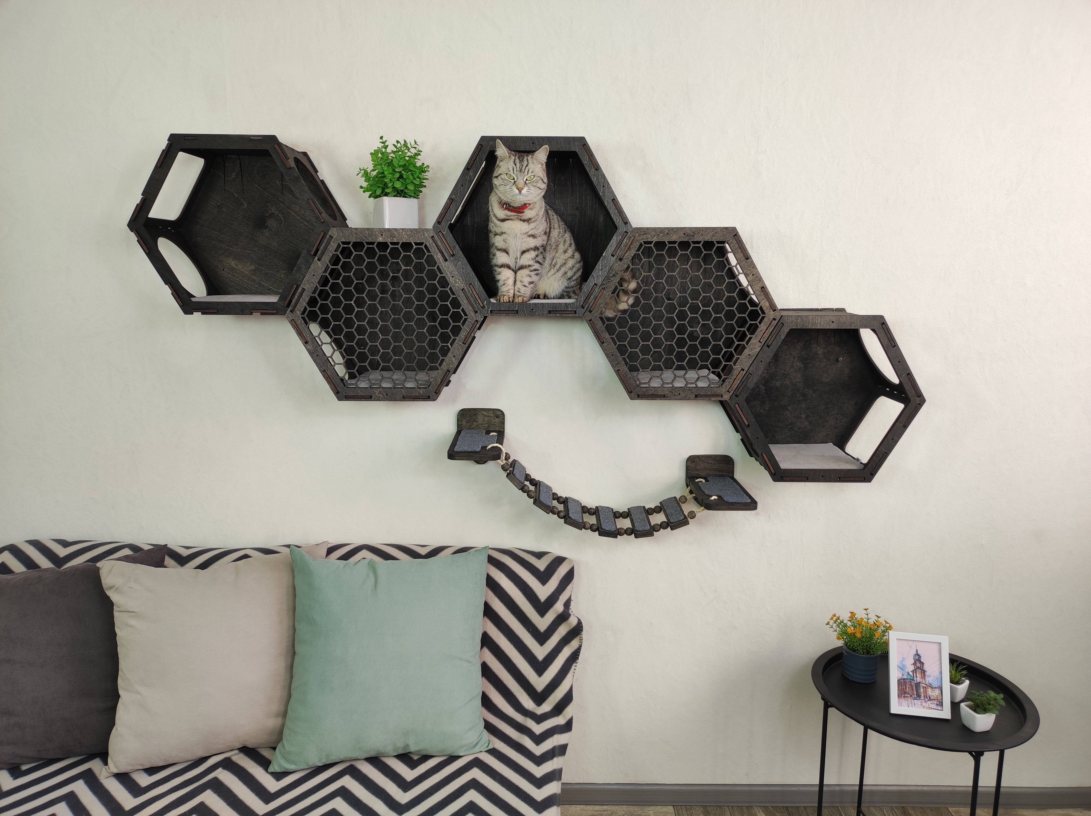 Cat Wall Shelf Set, 5 Hexagonal Cat Shelves, One Wall Cat Bridge