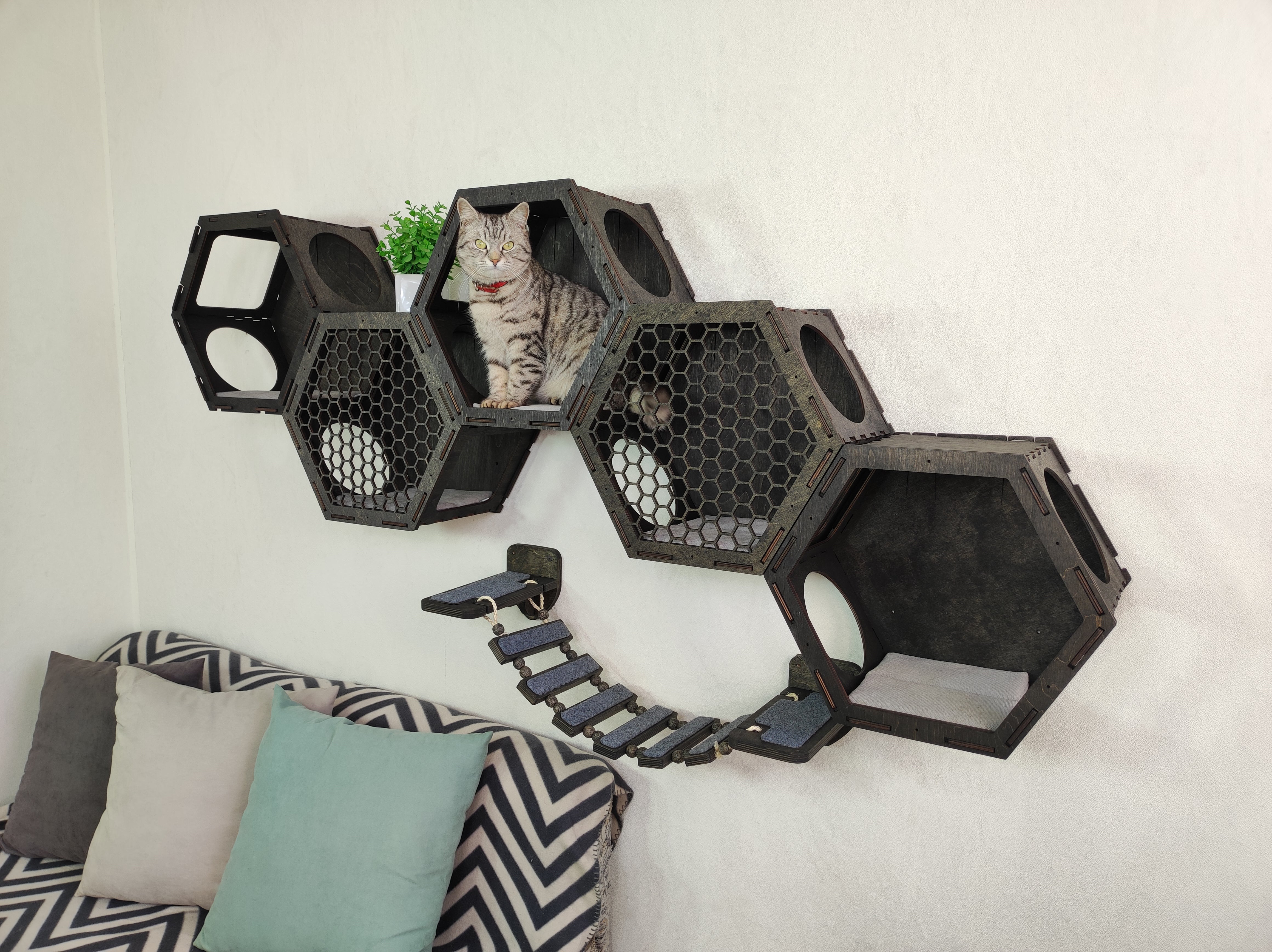 Dark Color Cat Wall Shelf Set, 5 Hexagonal Cat Shelves, One Wall Cat Bridge