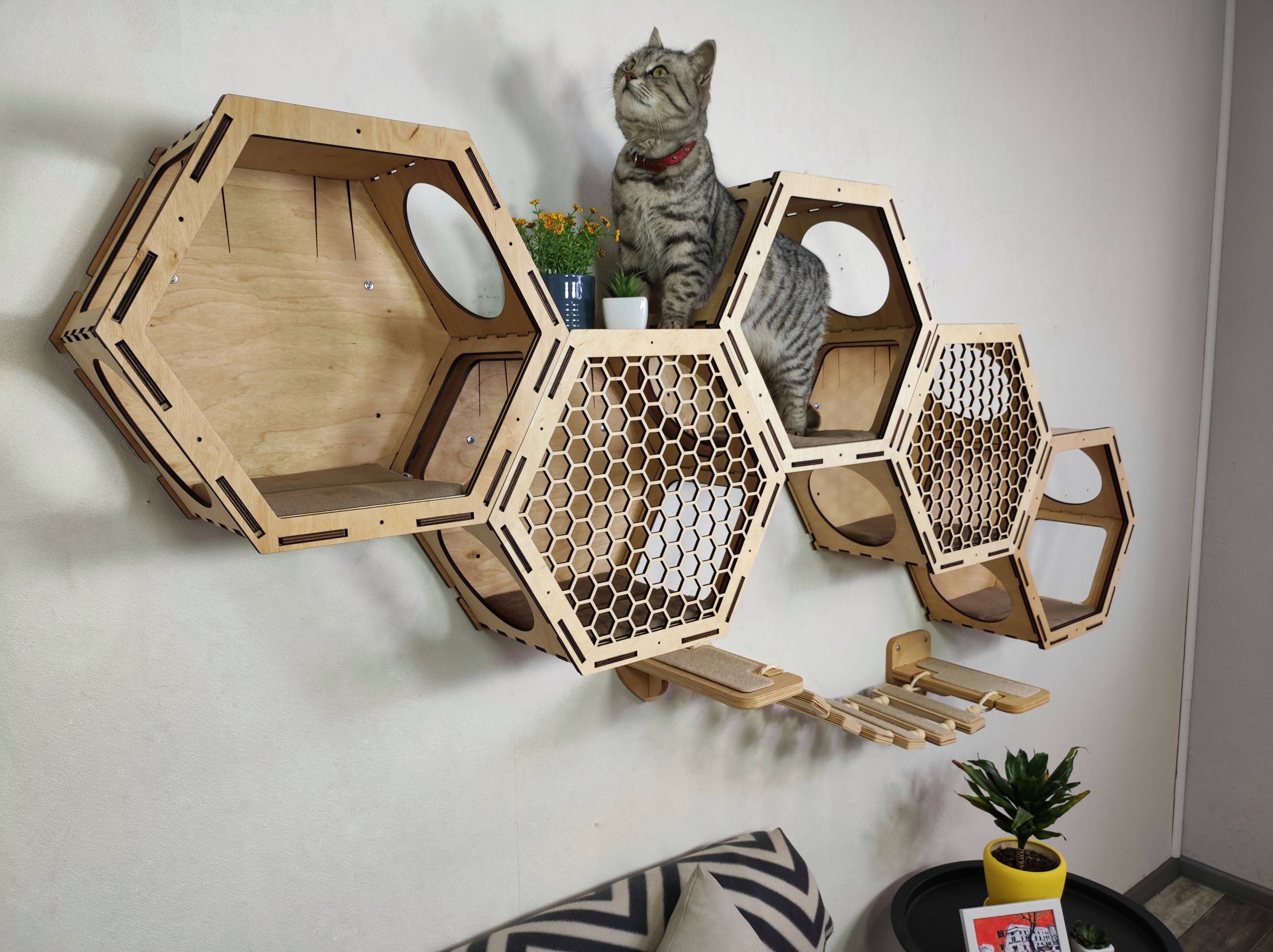 5 Hexagonal Shelves & Cat bridge