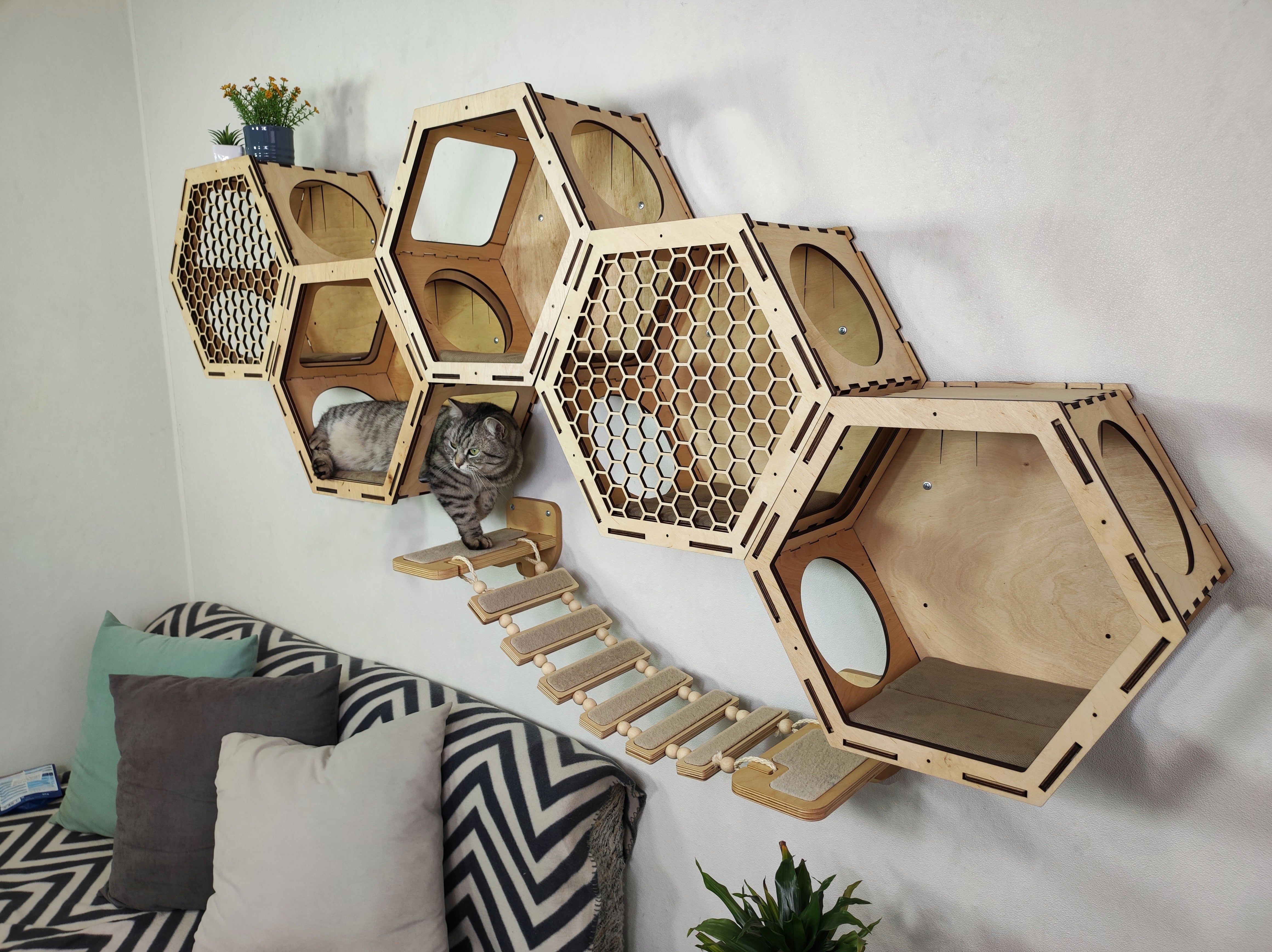 5 Hexagonal Shelves & Cat bridge