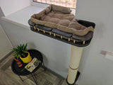 Cat Window Scratching Pole