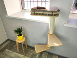 scratching wall for cats
